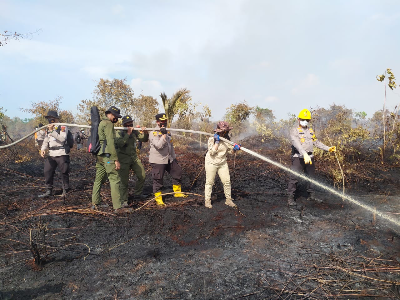 Wabup Meranti Bersama Kapolda Riau dan Kapolres Padamkan Api