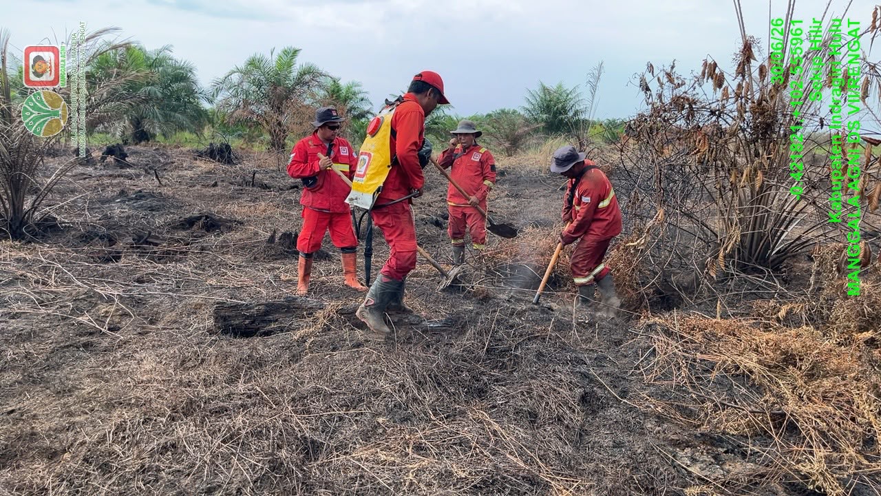 Karhutla di Sekip Hilir Dinyatakan Padam Total, Mopping Up Sui Raya Dilanjutkan Besok