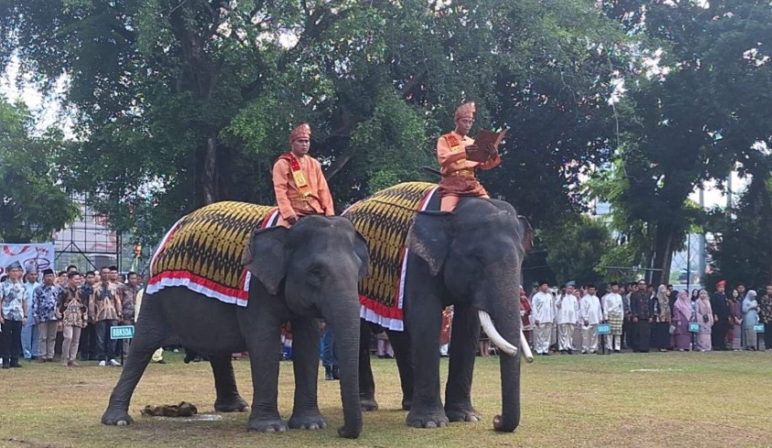 Dua Gajah Sumatera Curi Perhatian Peserta Upacara HUT ke-80 RI di Halaman BBKSDA Riau