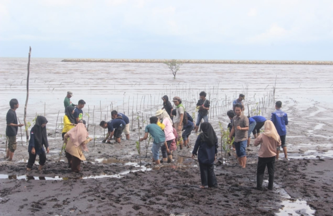 Sinergi Bengkalis Hijau Tanam Ratusan Bibit Mangrove