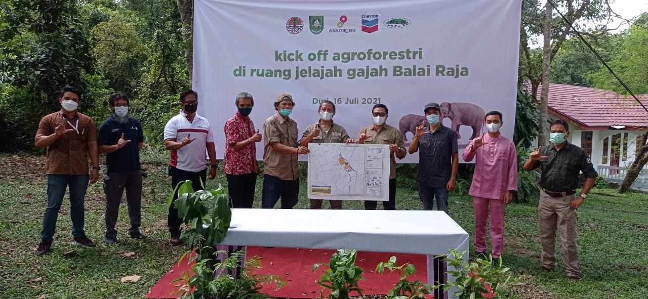 SKK Migas-Chevron Dukung RSF Rintis Penerapan Sistem Agroforestri Ramah Gajah