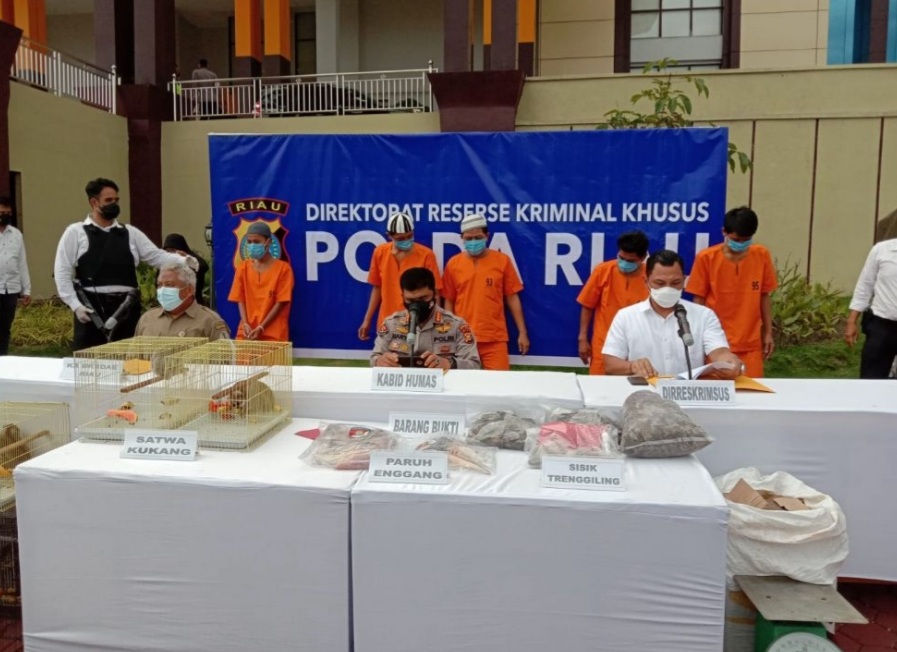Polda Riau Tangkap Dua Pelaku Penyelundup 8 Ekor Kukang