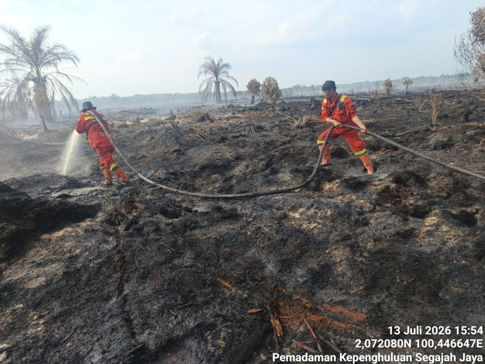 Karhutla Kembali Melanda Rohil, Manggala Agni Padamkan 2 Ha Lahan