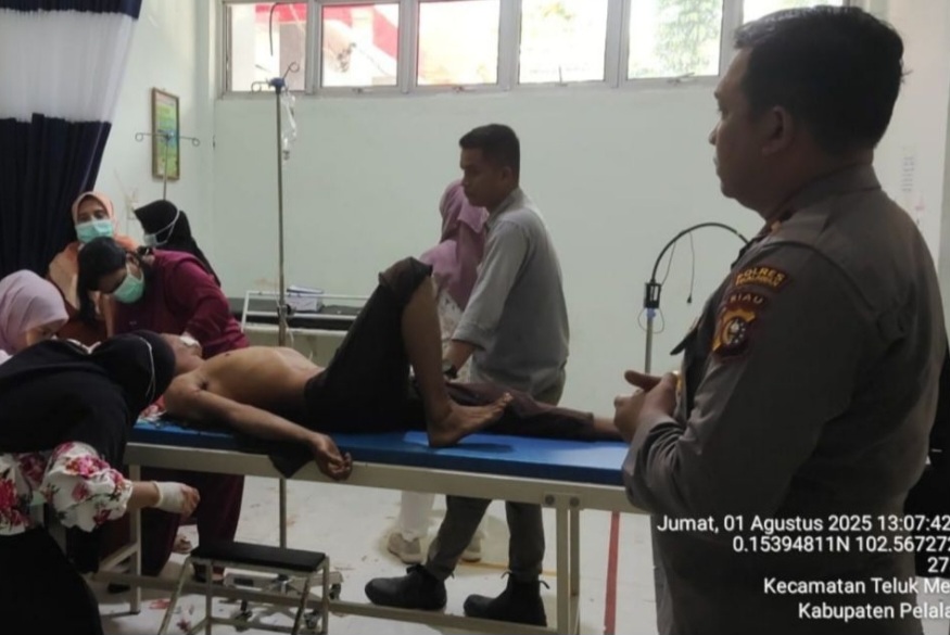 Pekerja Borongan Perawatan Tanaman AkasiaDiserang Harimau di Areal konsesi PT Arara Abadi