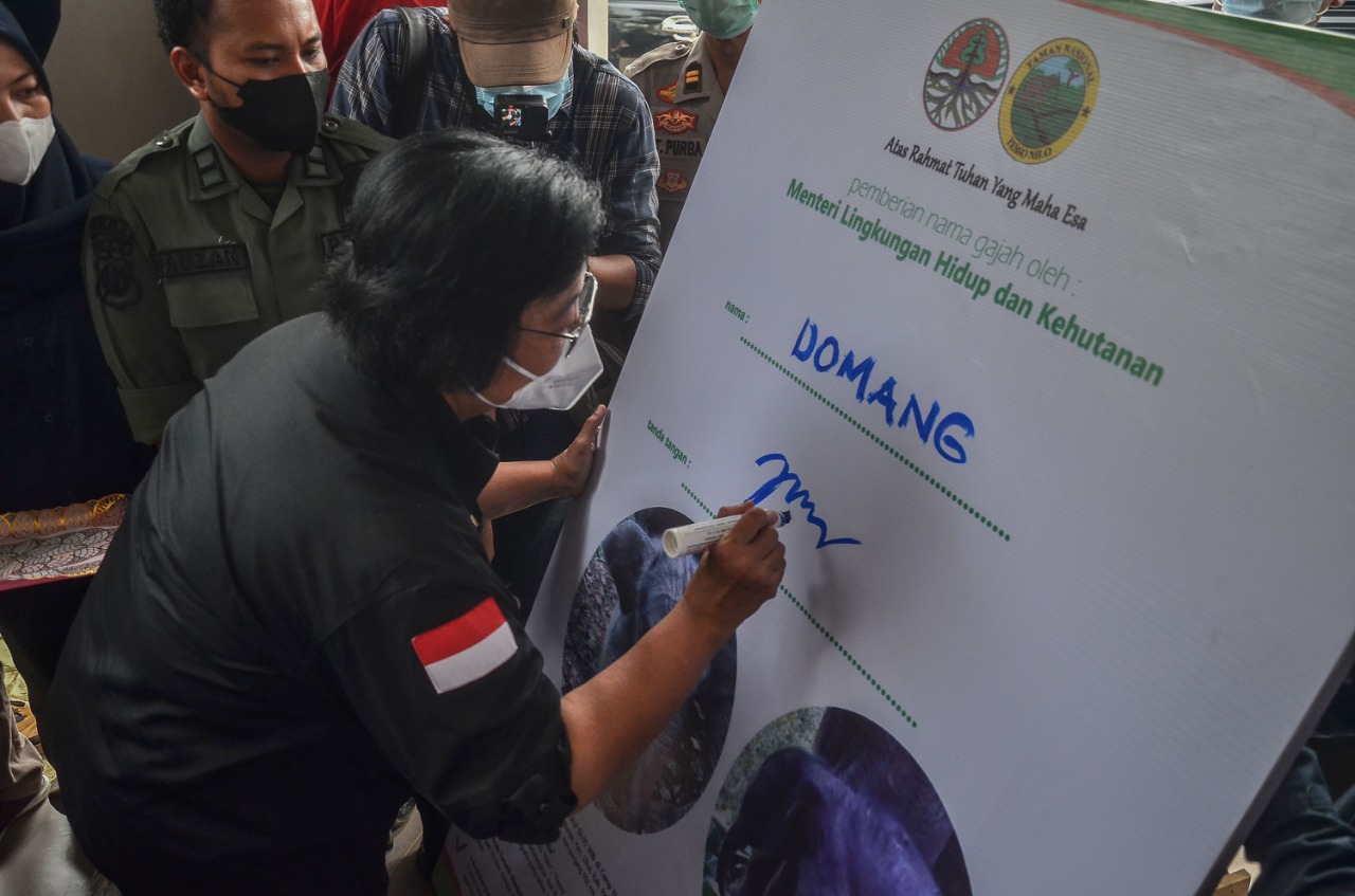 Menteri LHK Lakukan Penandatangan Nama Anak Gajah di TNTN
