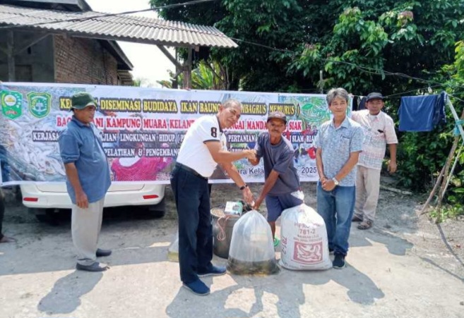 PKLH Faperta UIR Bersama PT AA Lakukan Desiminasi Budidaya Ikan Baung di Kampung Muara Kelantan
