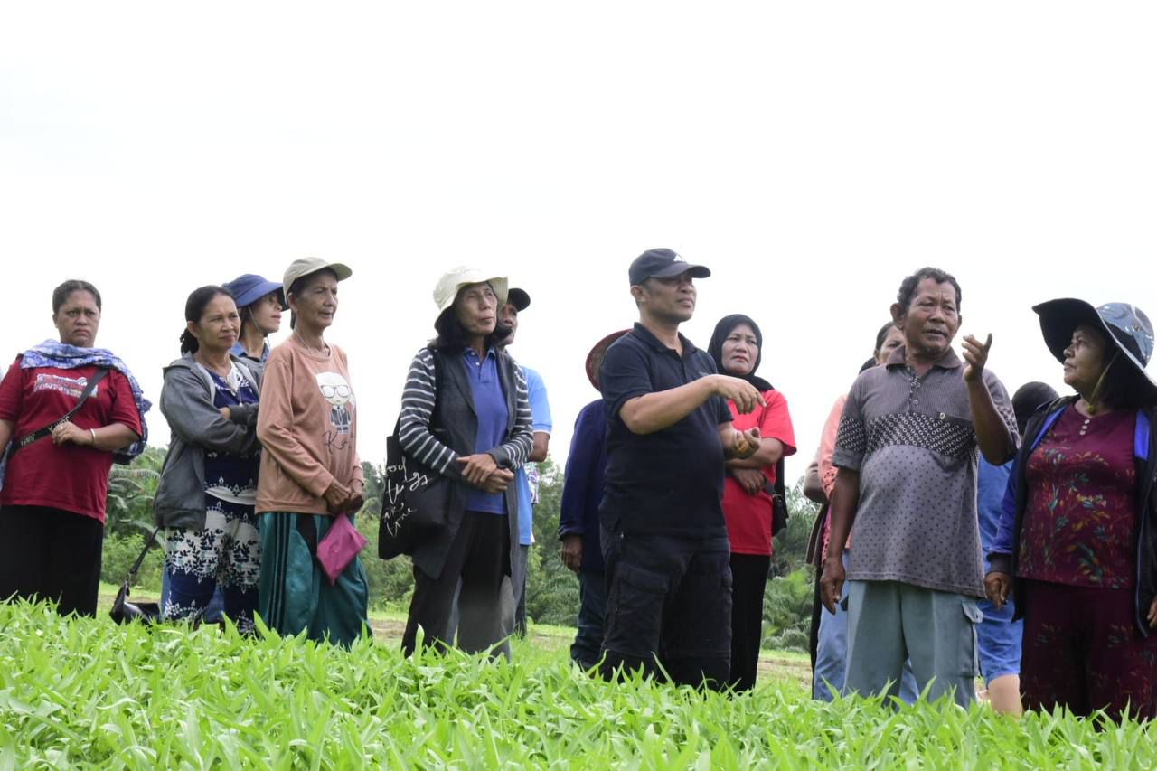 Kunjungi  Kebun Sayur Emak-Emak, Bagus Santoso Semangati KWT Pematang Obo