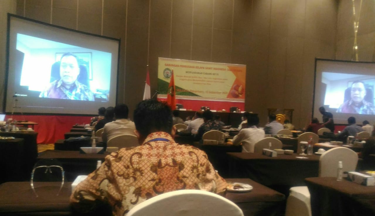 Riau Jadi Industri Sawit Terbesar di Indonesia