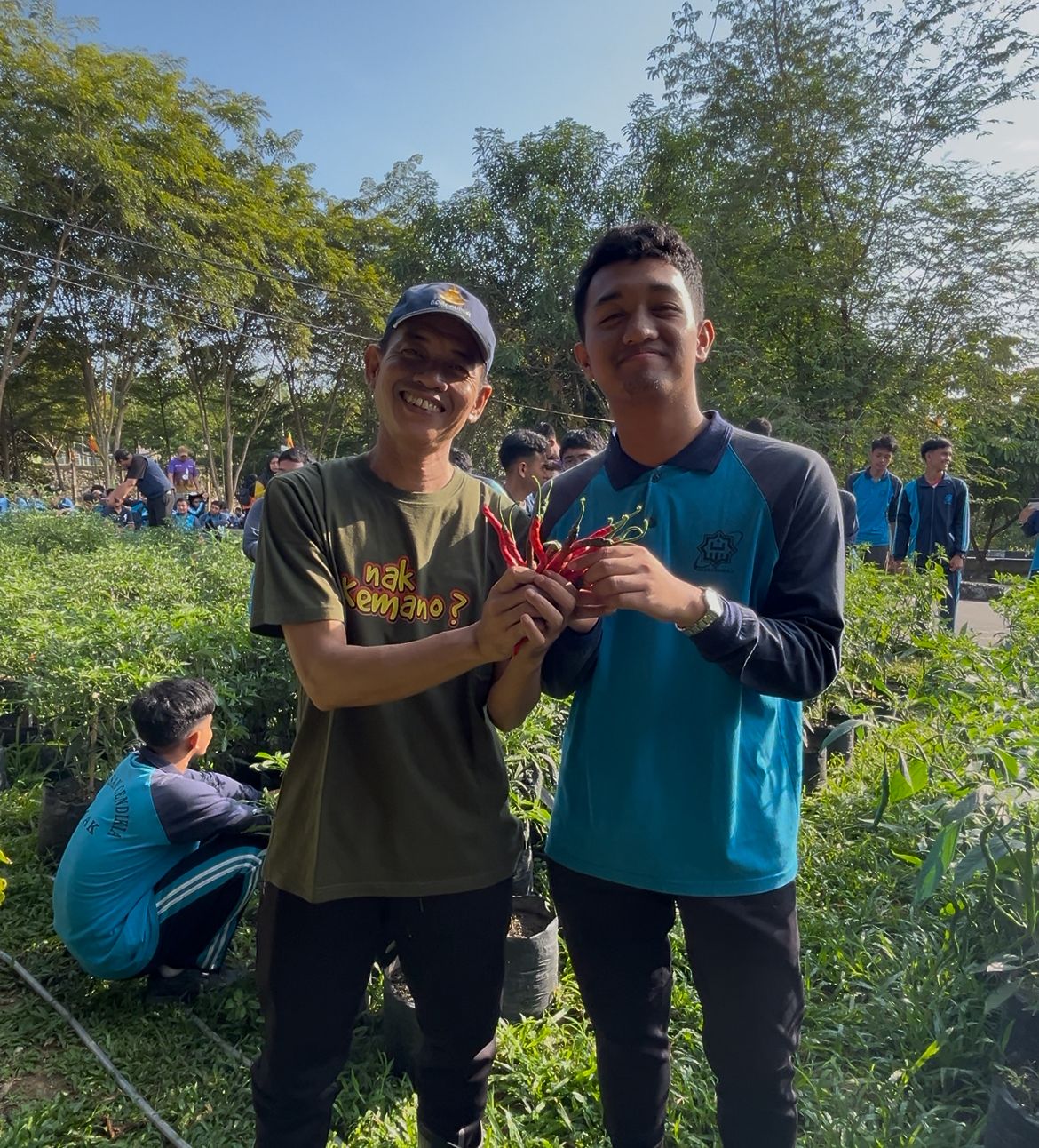 Wujudkan Ekoteologi dan Ketahanan Pangan, MAN Insan Cendekia Siak Panen Raya Melati Kepang