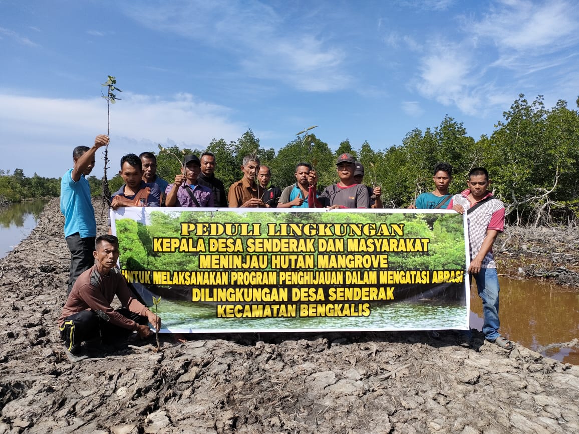 Kades Sederak Bantah Jual Lahan Mangrove  ke Pengusaha Tambak Udang