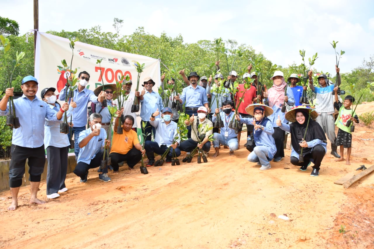 KPC Bersama Lanal  Sangatta dan Bakrie Amanah Tanam 7000 Pohon di Teluk Lombok