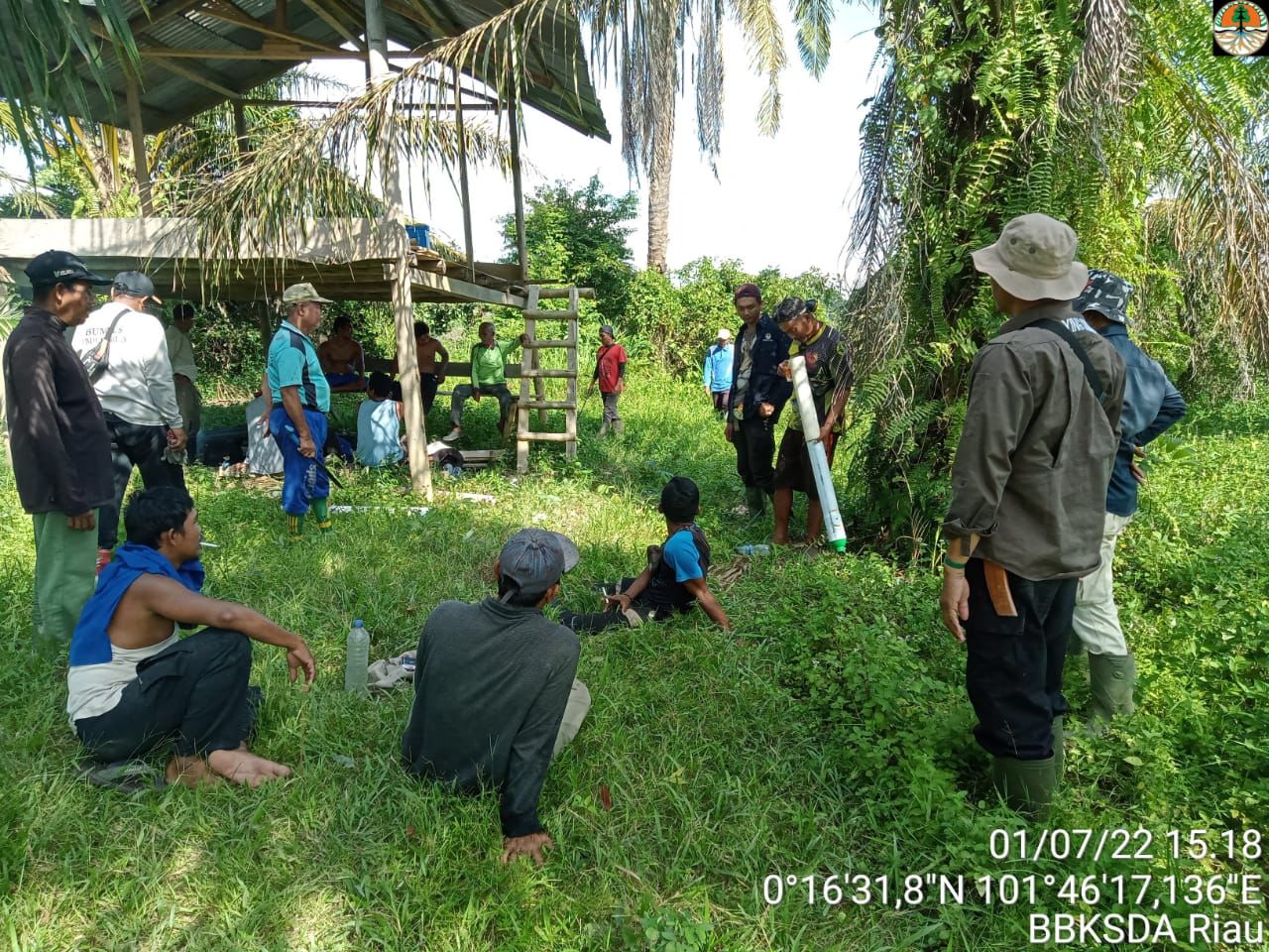 Balai TN Tesso Nilo dan BBKSDA Riau Terus Lakukan Penanganan Konflik Gajah