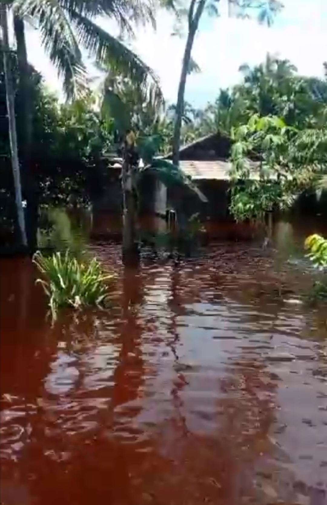 Diguyur Hujan Sejak Subuh, Rumah Warga Kembung Luar Terendam Banjir