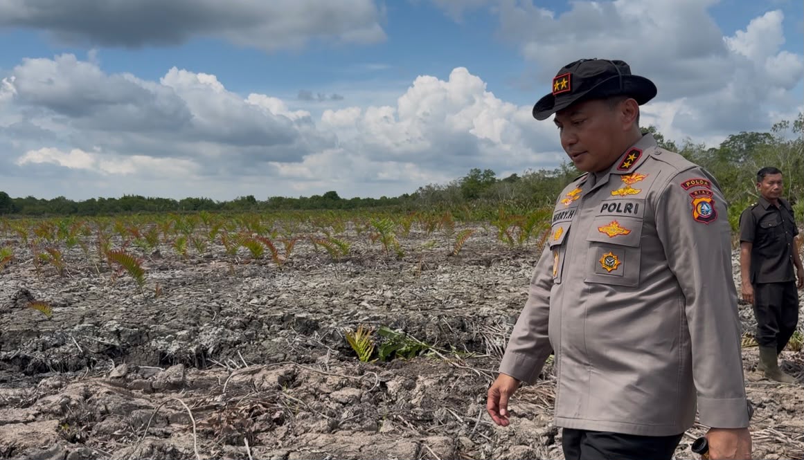 Geram Lihat Mangrove Dirusak, Kapolda Riau: Tidak Ada Toleransi