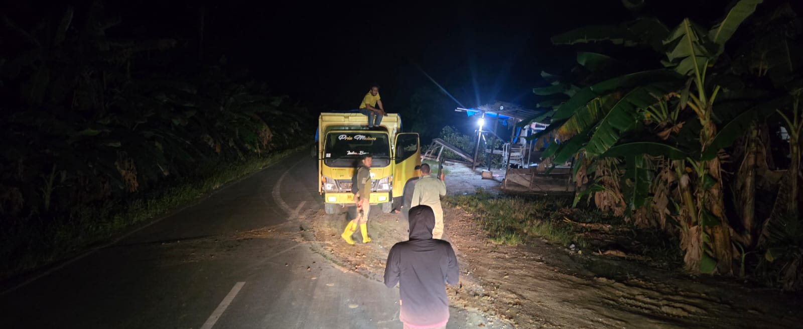 BBKSDA Riau Dua Truk Bermuatan Kayu Olahan di Kawasan Suaka Margasatwa Teluk Meranti