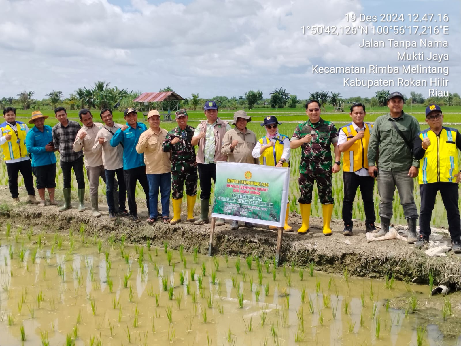 Dandim 0321/Rohil Dampingi Kementan Riau dan Mabes TNI Tinjau Demplot Han Mukti Jaya