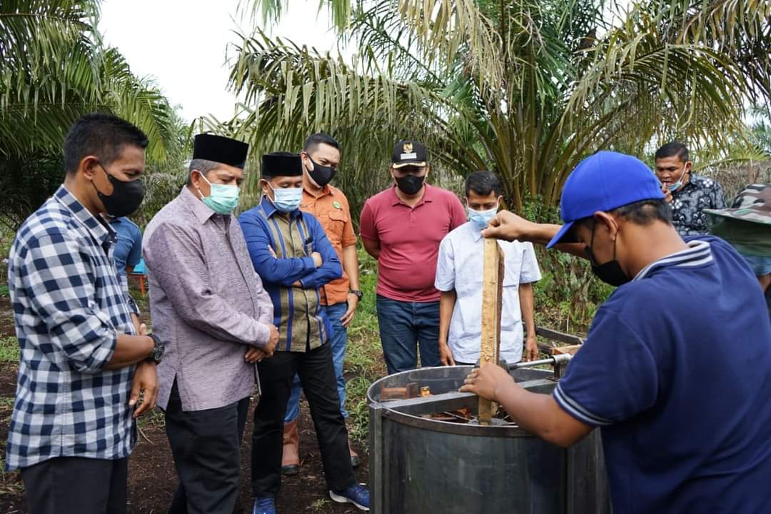 Budidaya Lebah Madu Melivera di Koto Gasib, Bupati Siak Alfedri  Cari Solusi Pemasaran