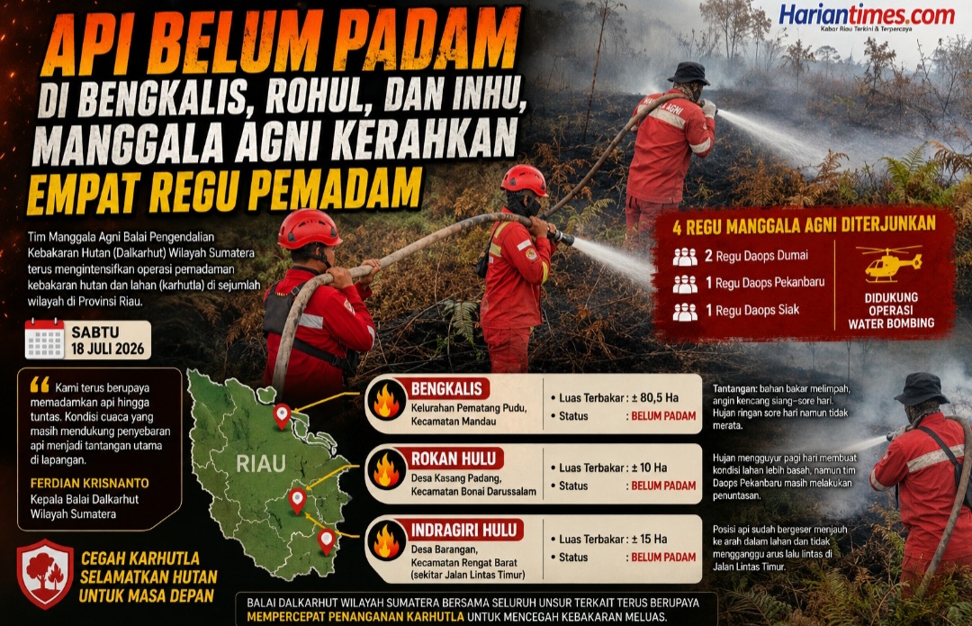 Api Belum Padam di Bengkalis, Rohul, dan Inhu, Manggala Agni Kerahkan Empat Regu Pemadam