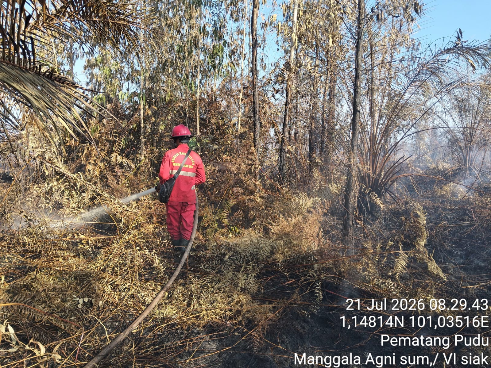 Asap Karhutla di Mandau Berangsur Hilang, Manggala Agni Lanjutkan Mopping Up