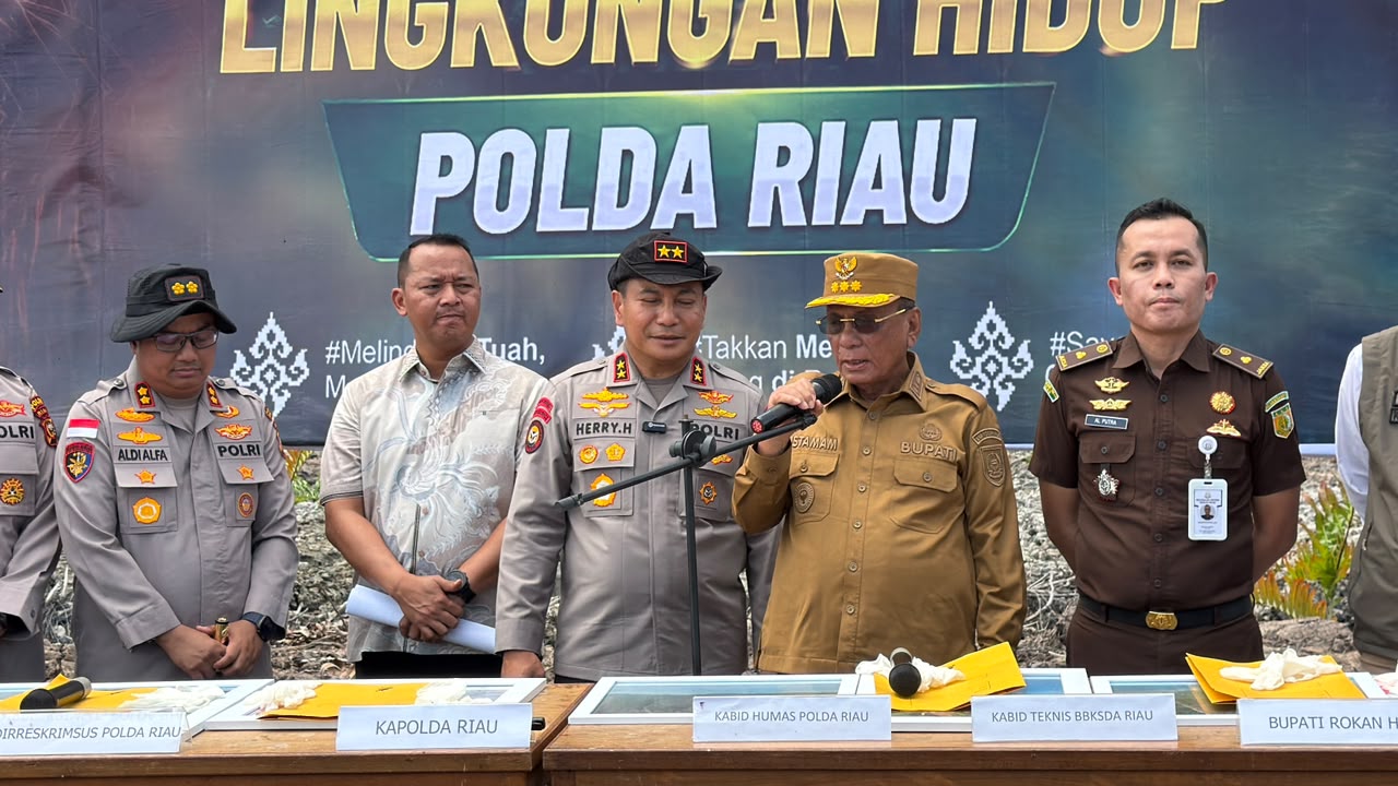 Perambah Mangrove Ditangkap, Bupati Rohil: Harus Jadi Efek Jera