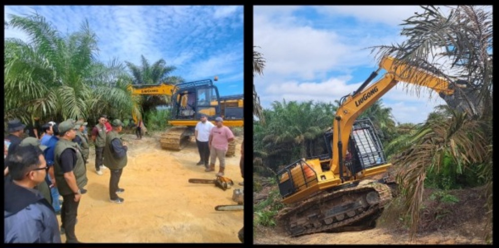 Pulihkan Hutan Konservasi Tesso Nilo, Satgas PKH Bersama Kemenhut Tumbangkan Tanaman Sawit Seluas 401 Ha