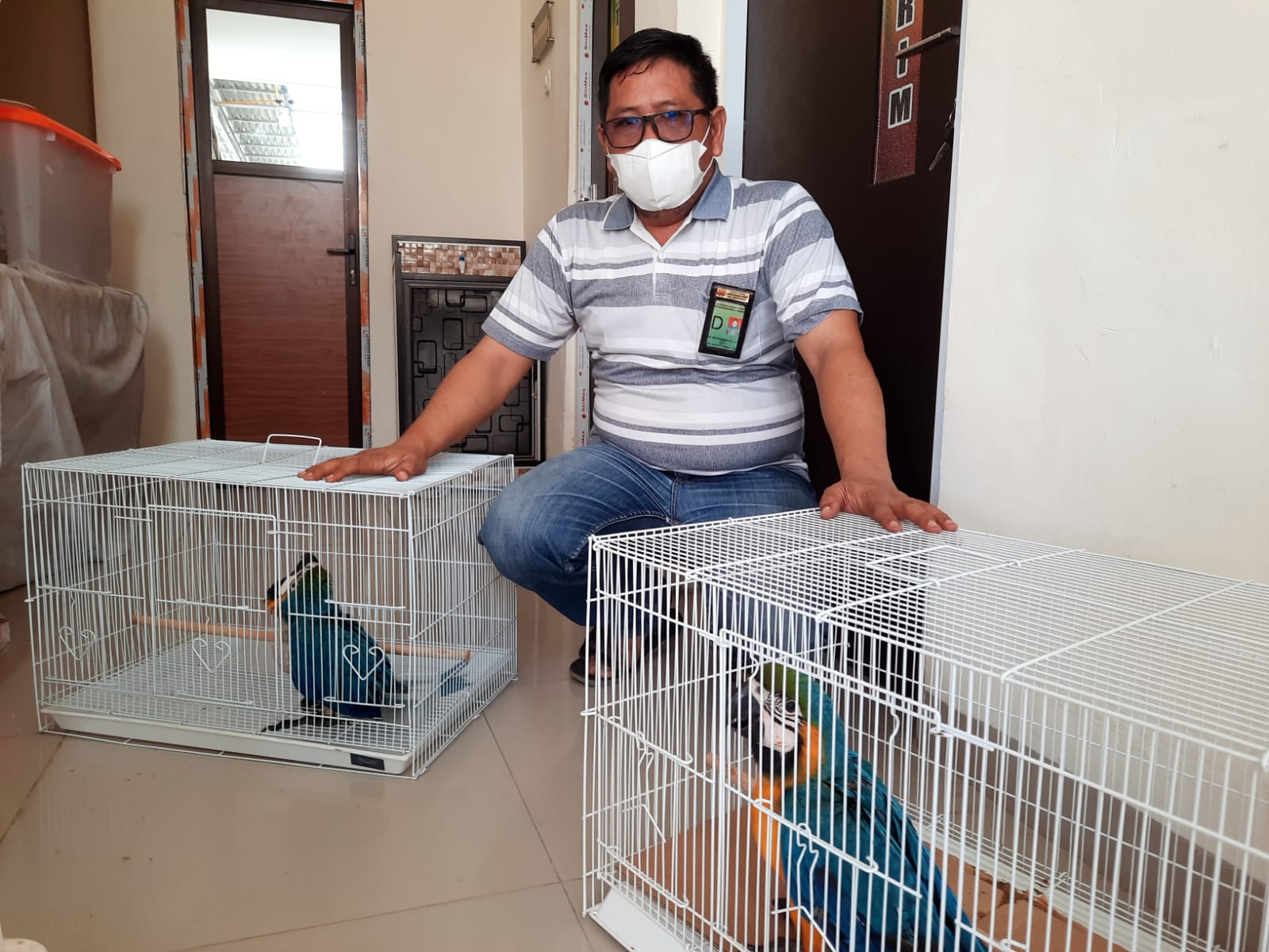 Balai Besar KSDA Riau Melakukan Pelepasliaran 260 Ekor Burung di Taman Hutan Kota Pangkalan Kerinci