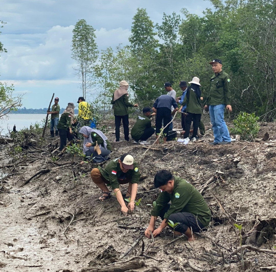 Jaga Lingkungan, Dosen Bersama Mahasiswa Pascasarjana Ilmu Lingkungan Unri Tanam Mangrove di Sungai Apit