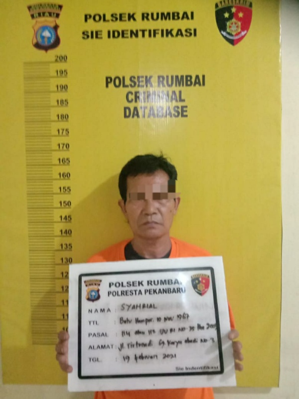 Sedang Berada di Pondok Kolam Ikan, Tim Opsnal Polsek Rumbai Amankan Pengedar Sabu