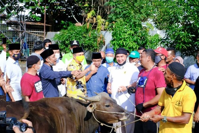 Serahkan Sapi Qurban ke PWI Riau, Ini Pesan Gubri