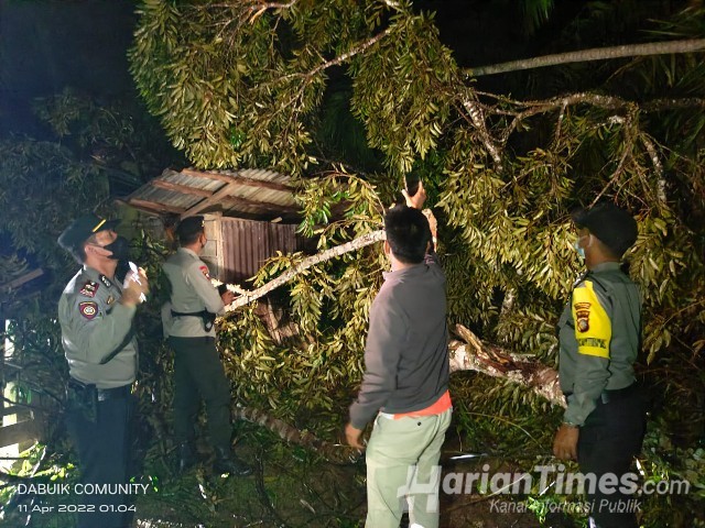 Sejumlah Rumah Warga Rusak Parah Tertimpa Pohon Tumbang di Kecamatan Inuman