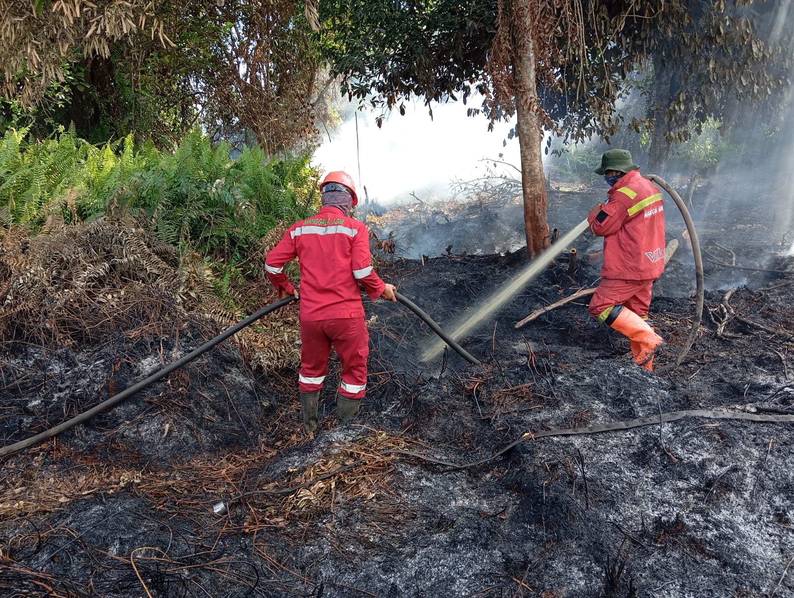 Manggala Agni Tuntaskan Karhutla di Rupat, Fokus Mopping Up di Rohil