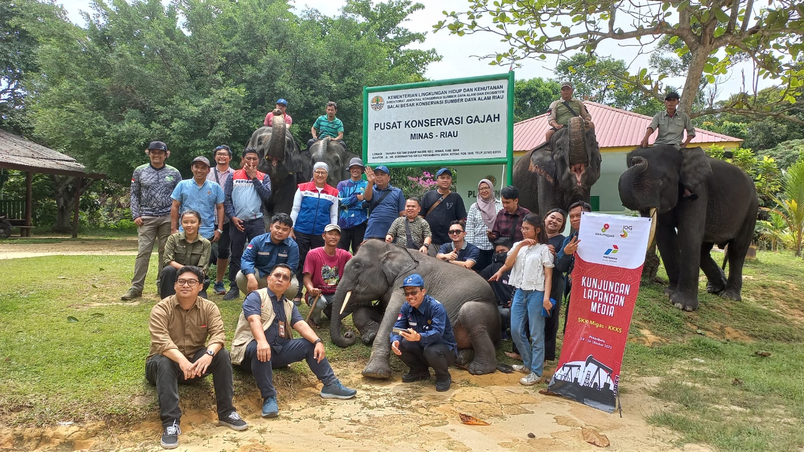 SKK Migas-PHR Jaga Pelestarian Gajah Sumatera