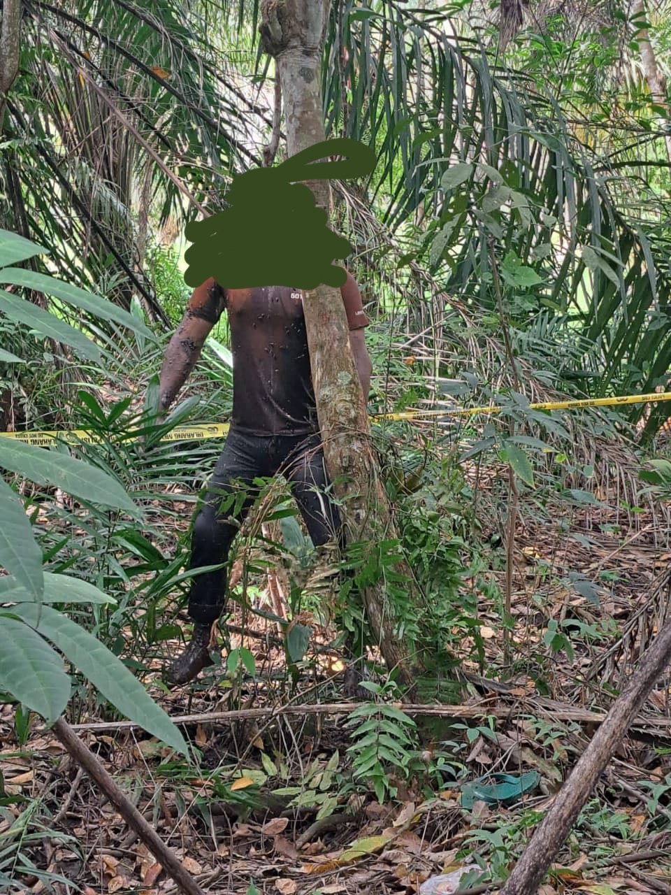 Warga Banjar Xll Dihebohkan Penemuan Mayat Membusuk Tergantung di Pohon Karet