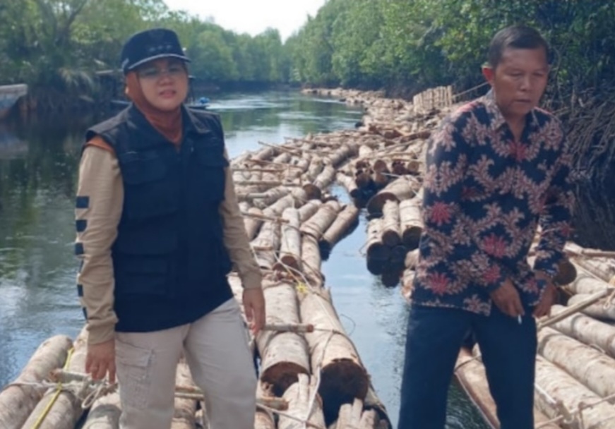 Temukan Ribuan Kayu Diduga Ilegal di Sungai Apit, Dr Afni: Jika Tidak Ada Dokumennya, Berarti Ilegal