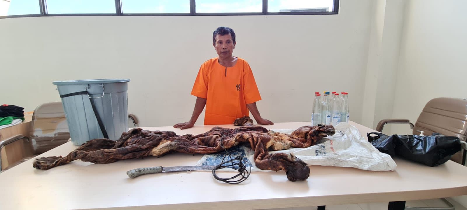 Tertangkap Tangan Bawa Kulit Harimau, Warga Kuansing Diamankan Polisi