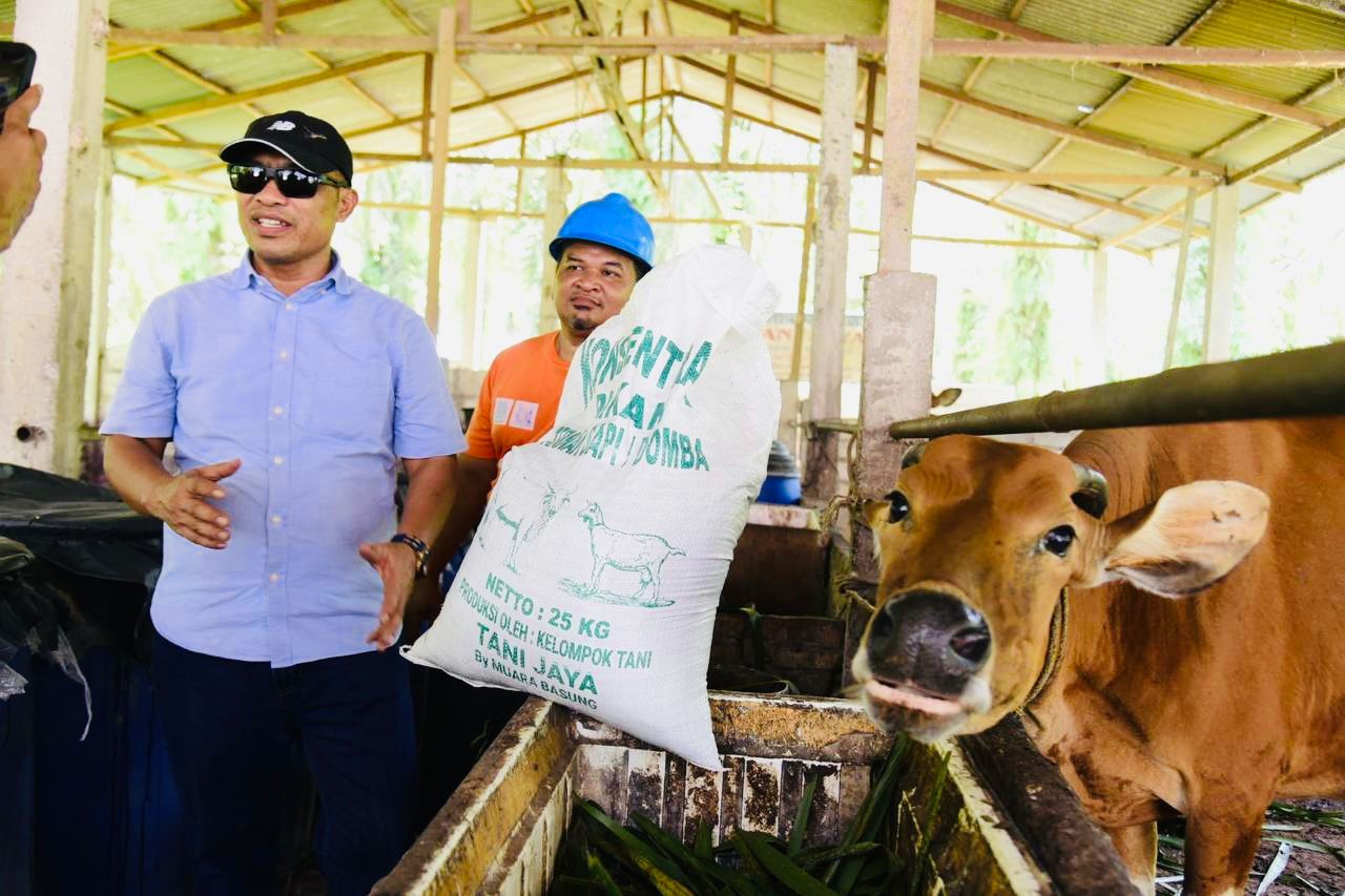 Sapi Warga Tasik Tebing Serai Terserang Penyakit, Bagus Santoso: Kita akan Segera Tindak Lanjuti