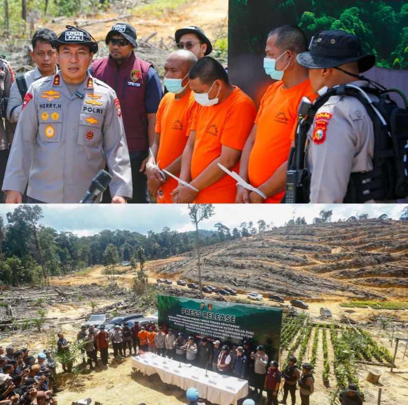 Satgas PPH Polda Riau Ringkus Empat Pelaku Perambahan dan Jual Beli Lahan di Kawasan Hutan Lindung Kampar