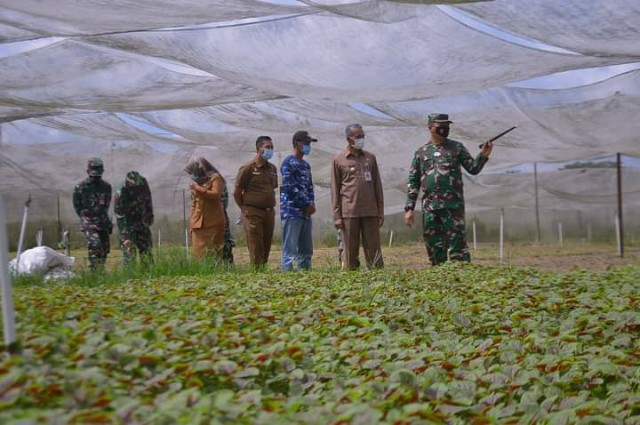 Pemko Pekanbaru Bantu Petani Binaan Lanud Roesmin Nurjadin Bibit Palawija dan Bioflok