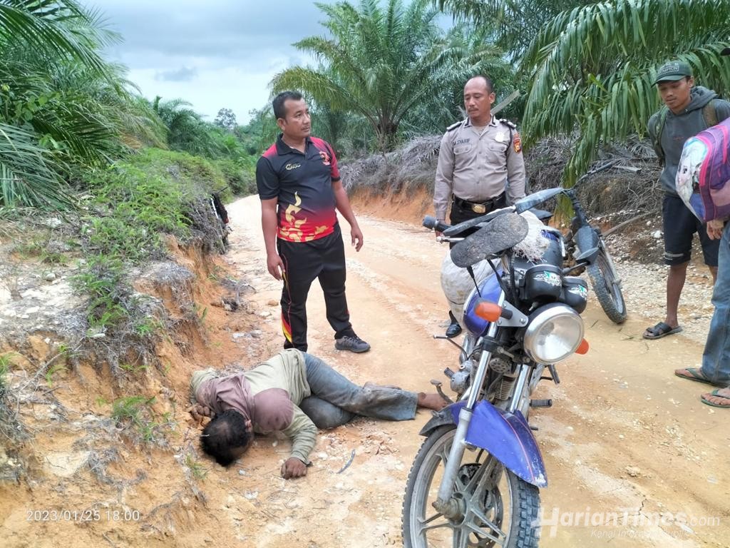 Pria Tanpa Identitas Ditemukan Tergeletak di Jalan Kebun Sawit Desa Pulau Padang