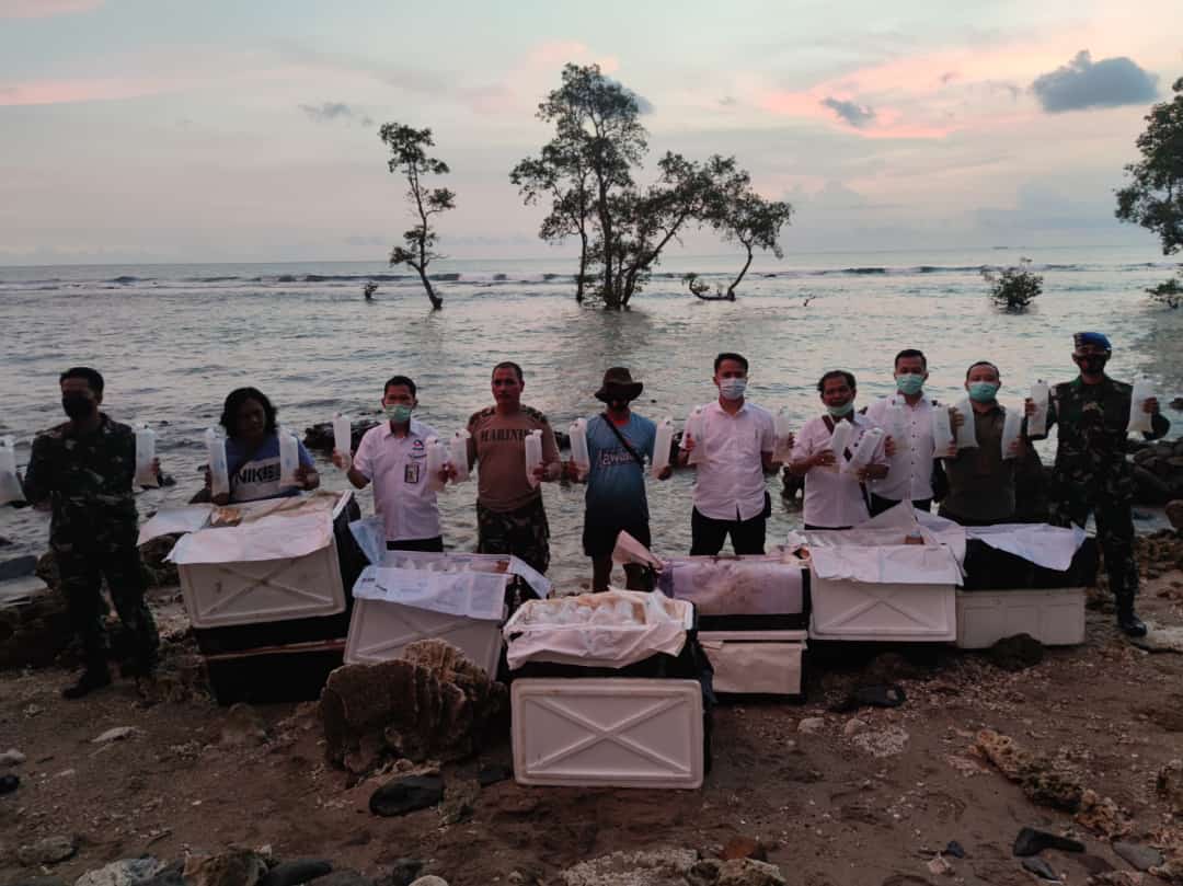 Ditreskrimsus Polda Banten Gagalkan Penyelundupan 77.971 Baby Lobster