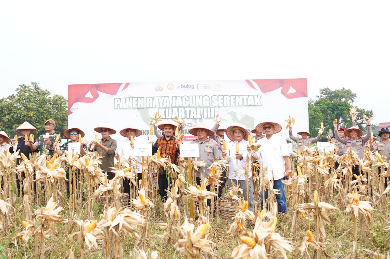 Polda Riau Gelar Panen Raya Serentak Kuartal III 2025, Irjen Pol Herry: Langkah Menuju Swasembada Pangan yang Berkelanjutan
