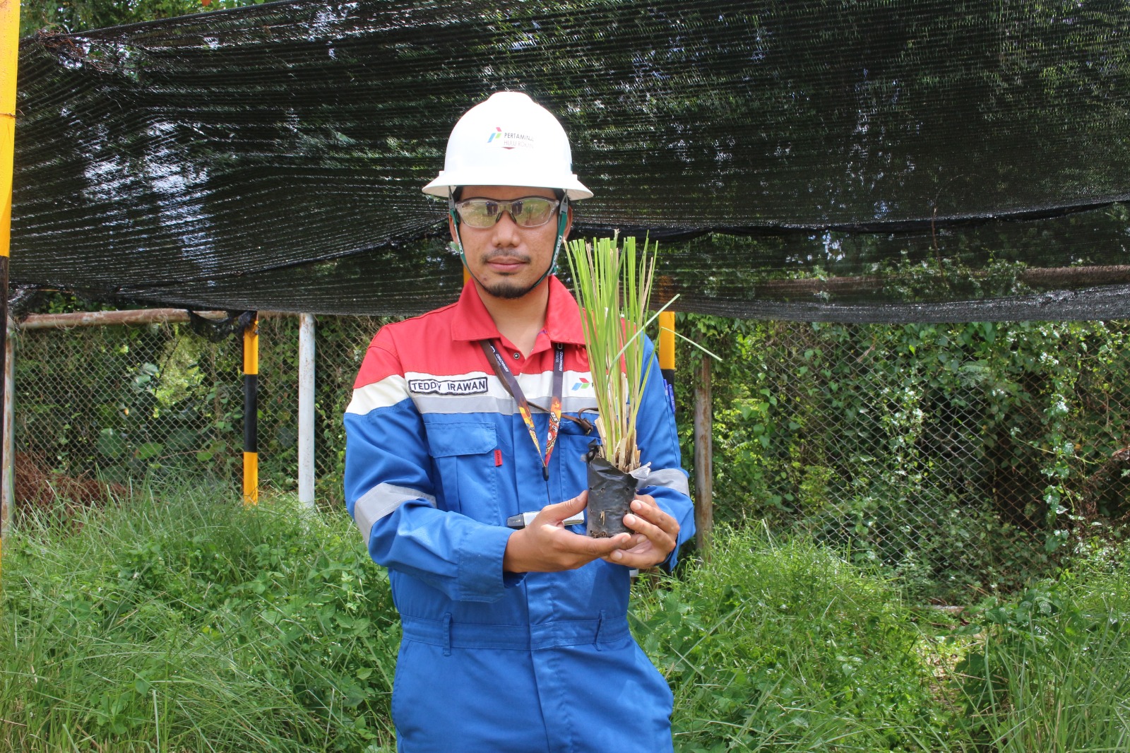 Menumbuhkan Kehidupan Kembali: Langkah PHR Memulihkan Fungsi Tanah di Bumi Riau