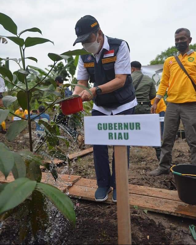Melestarikan Ekosistem Gambut di Riau Diperlukan Komitmen Setiap Pemda