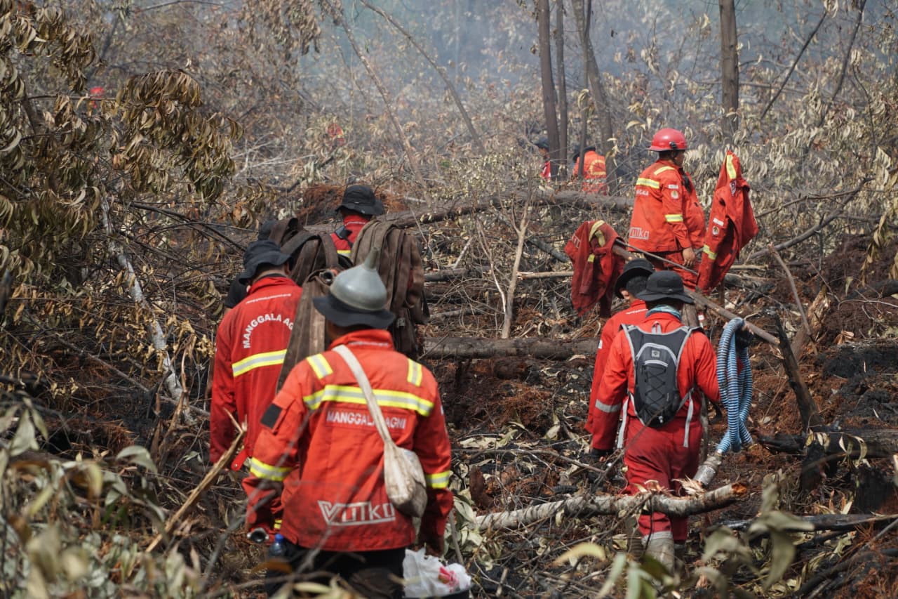 Lahan Terbakar di Rupat Tembus 108 Hektare, Tim Gabungan Kejar Sisa Titik Api