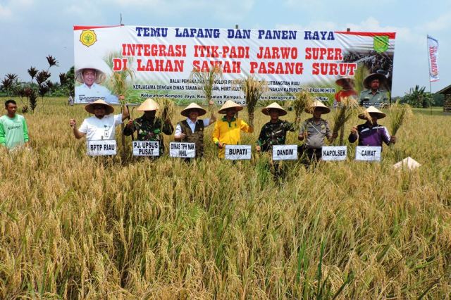 Dandim 0314/Inhil Panen Raya Perdana Integrasi Itik-Padi Jarwo Super