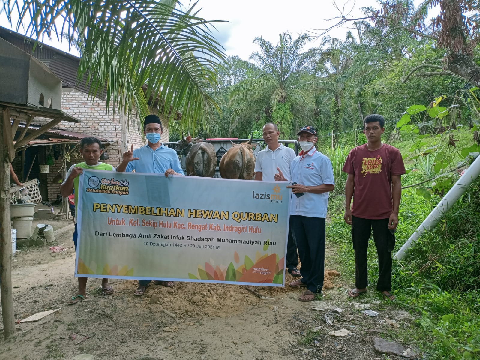LazisMu Riau Distribusikan 15 Ekor Sapi Kurban ke Daerah