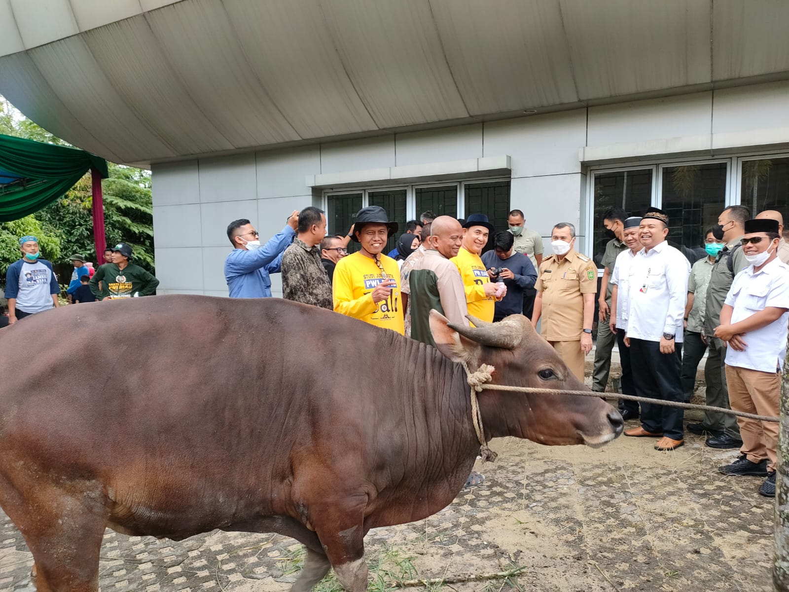 PWI Riau Sembelih 3 Sapi dan 4 Kambing Kurban, Gubri: Semoga Berkah