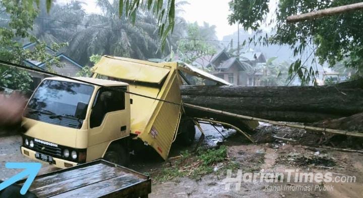 Akibat Pengaruh Cuaca, Mobil Box Tertimpa Pohon Besar Saat Melintas di Inuman