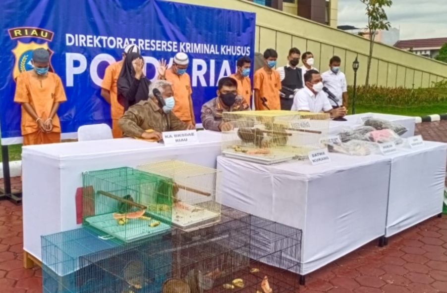 Ditreskrimsus Polda Riau Ringkus Pelaku Memperniagakan Satwa yang Dilindungi