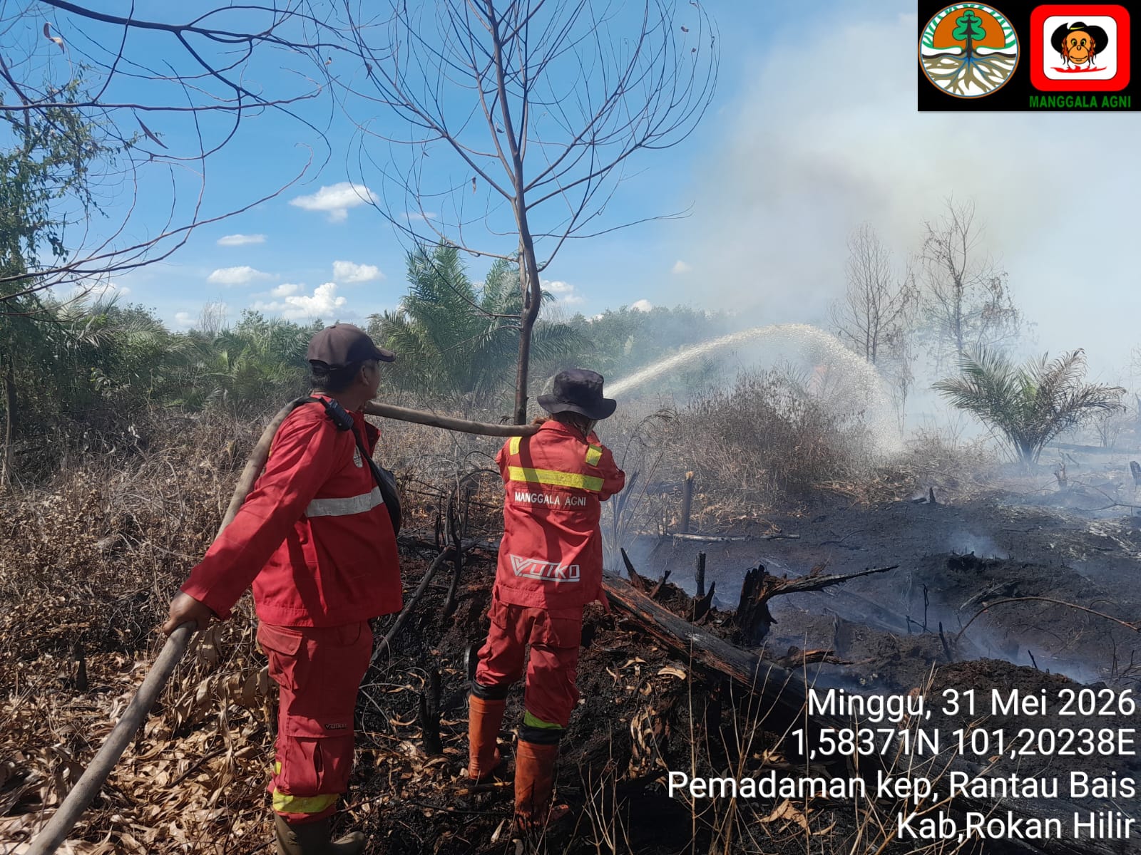 Pantang Surut, Manggala Agni Sumatera Terus Gempur Karhutla di Empat Titik Rawan